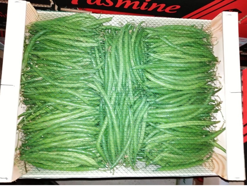 Haricot Vert Fin